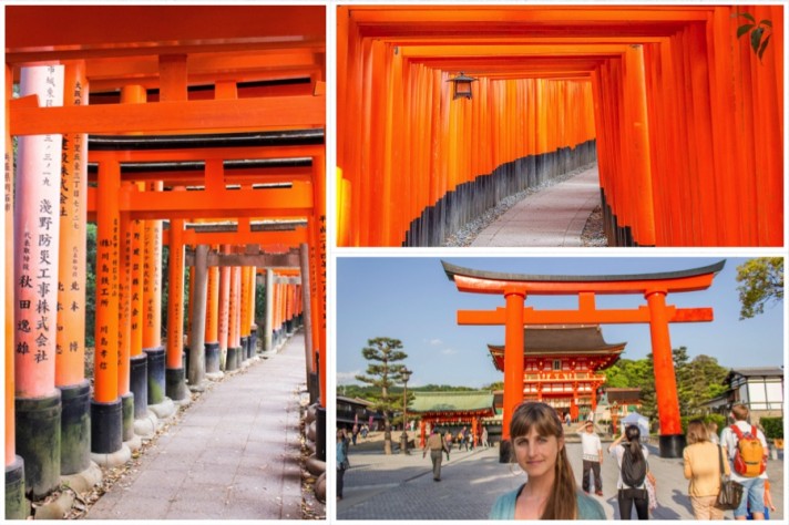 Kyoto Shrine Red Orange Torii