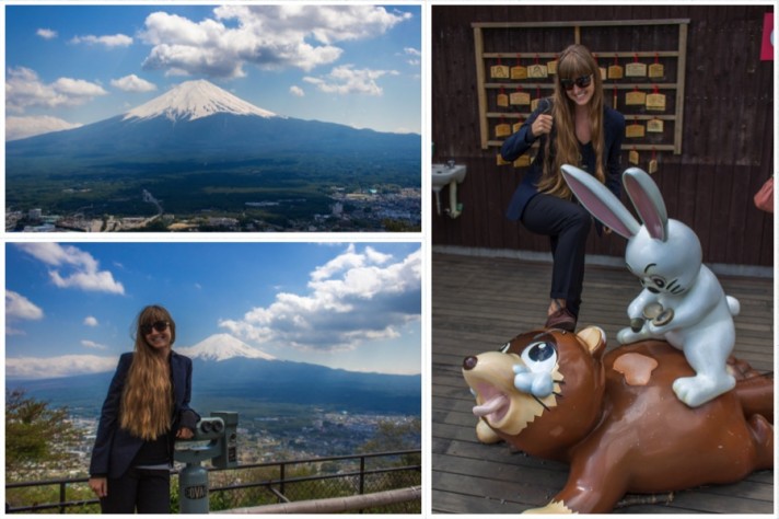 Mount Fuji Raccoon