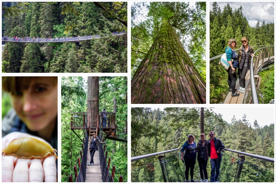 Capilano Suspension Bridge Vancouver BC