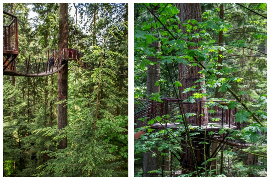 Capilano Vancouver