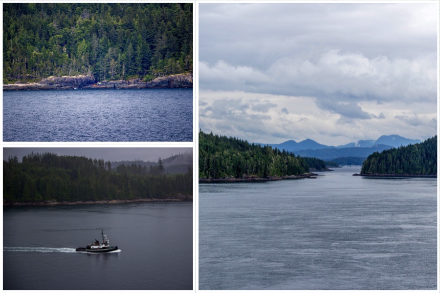 Cruise Inside Passage Scenery