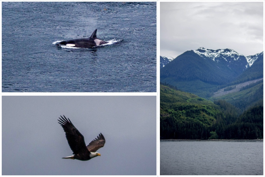 Cruise Inside Passage