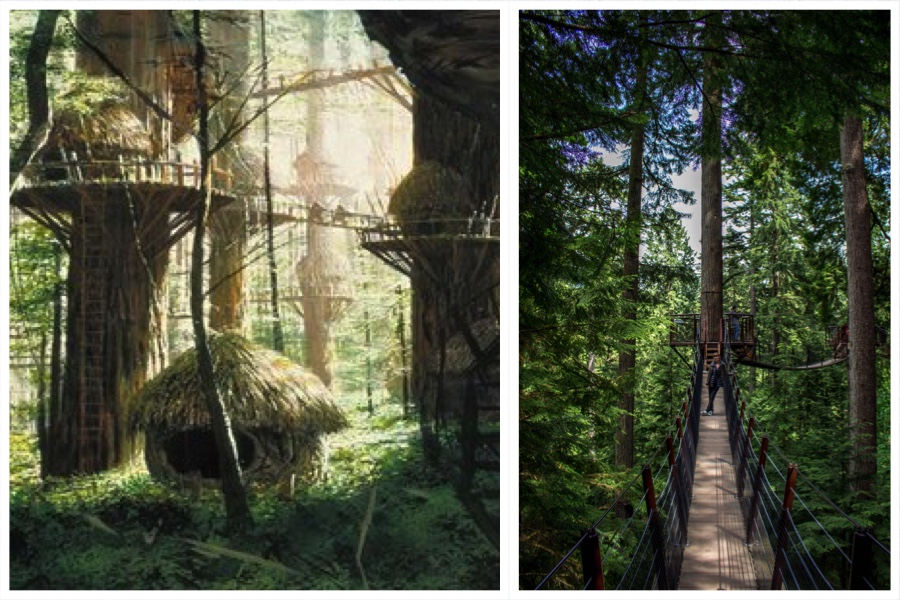 Ewok Village Caplilano Suspension Bridge Comparison