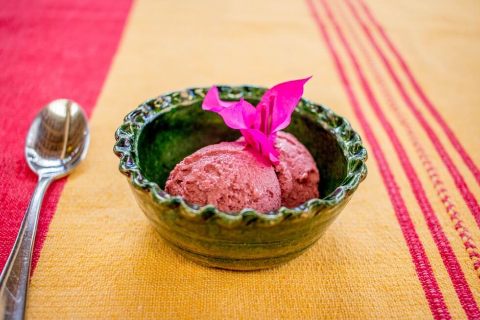 El Sabor Zapoteco Oaxaca Cooking Classes Raspberry Goat Milk Ice Cream