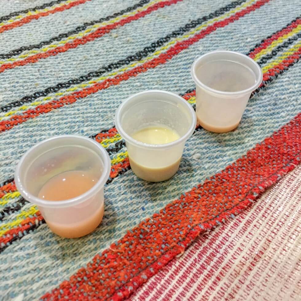 Pulque Sampling at Hija de las Apaches DF