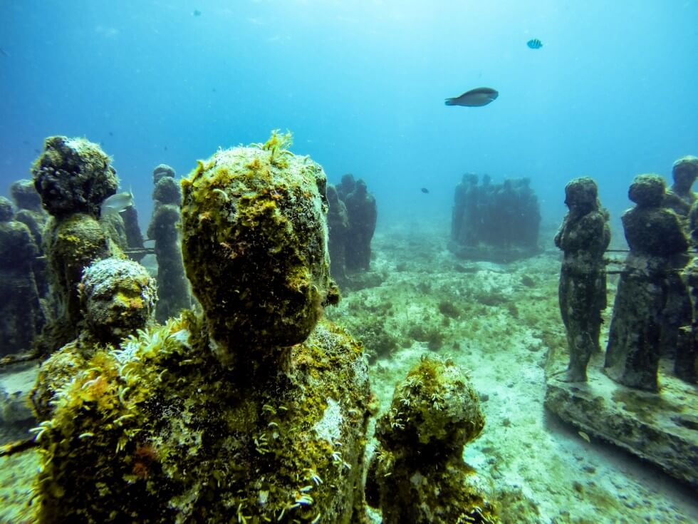 Diving Isla Mujeres MUSA