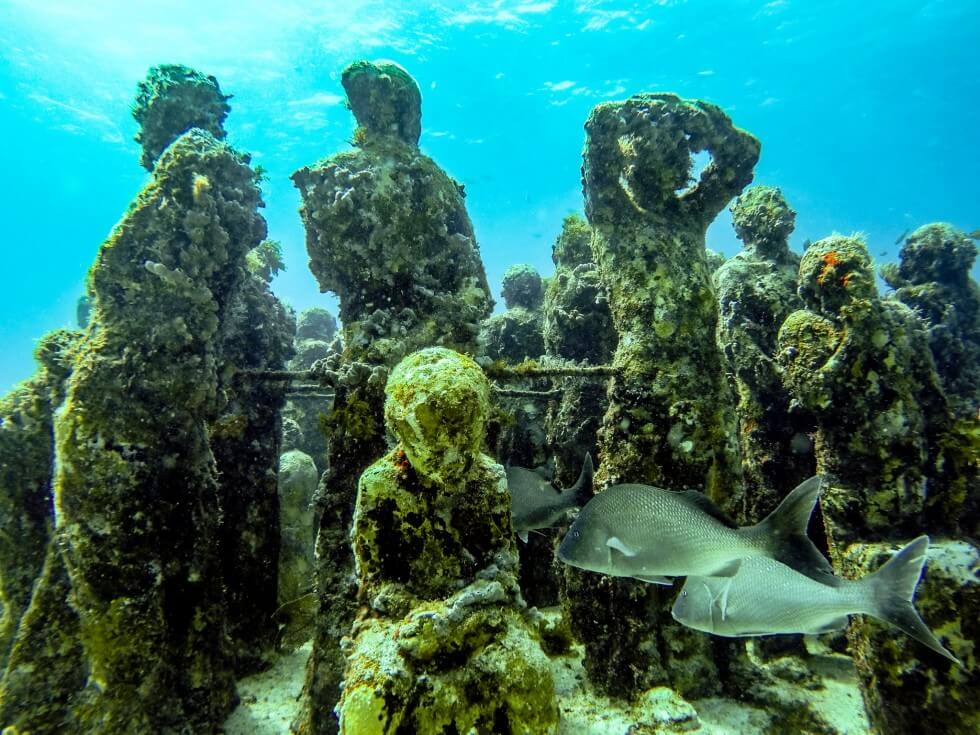 Fish Among the Sculptures Diving Isla Mujeres