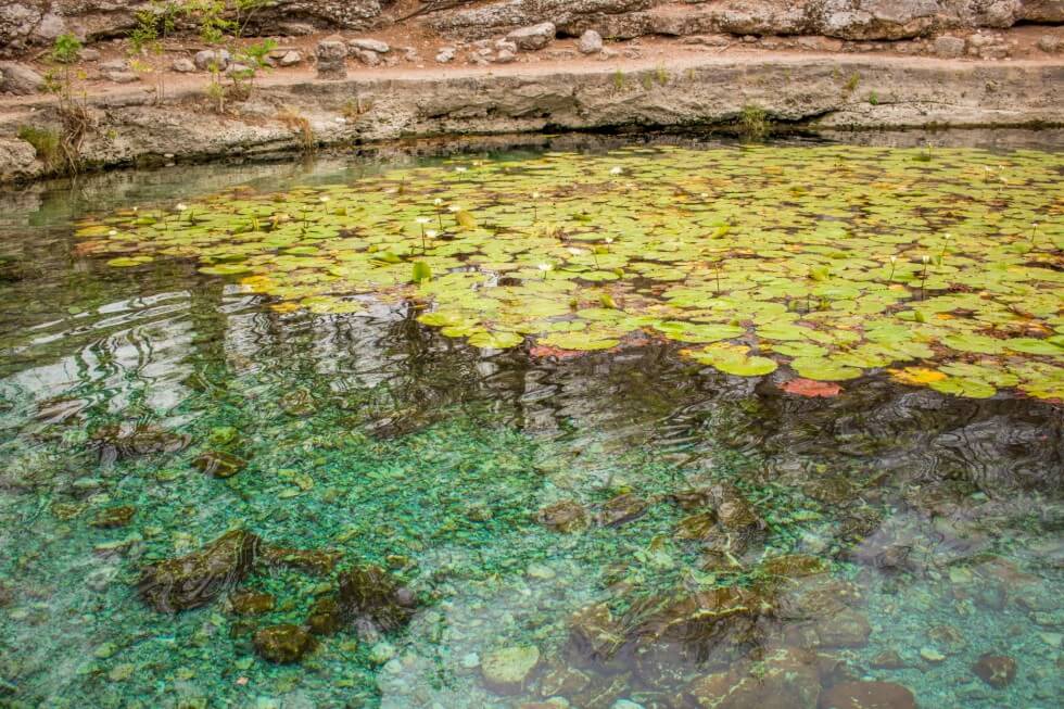 Beautiful Cenote Xlacah in the Dzibilchaltún ruins