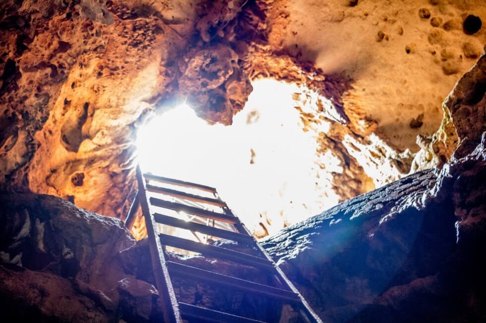 Ladder leading down into one of the Cenotes near Merida