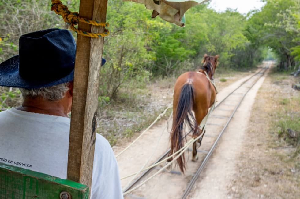 Three Cenotes of Cuzuma Horse Drawn Cart