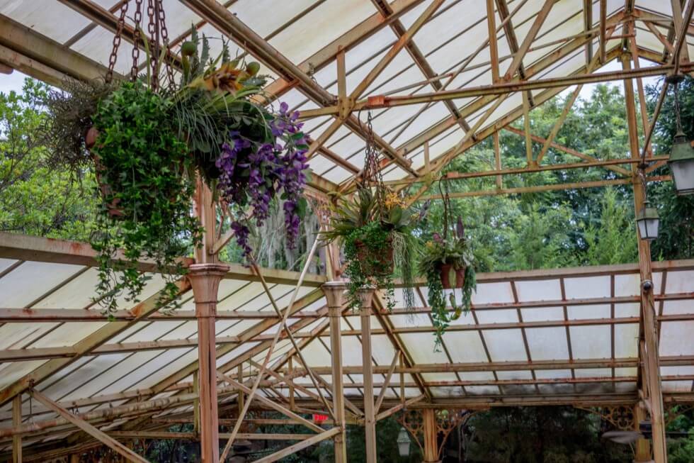 The Herbology Greenhouse in Hogwarts Castle Harry Potter World