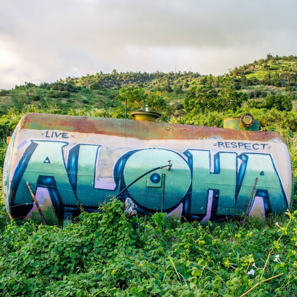 Aloha Road To Hana Tour