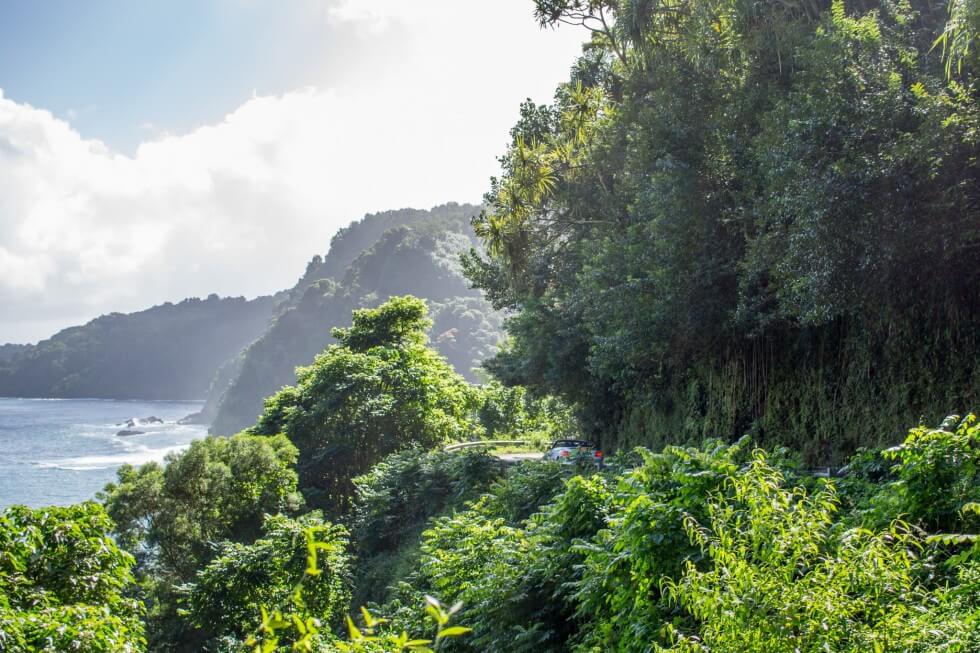 Driving the Road To Hana