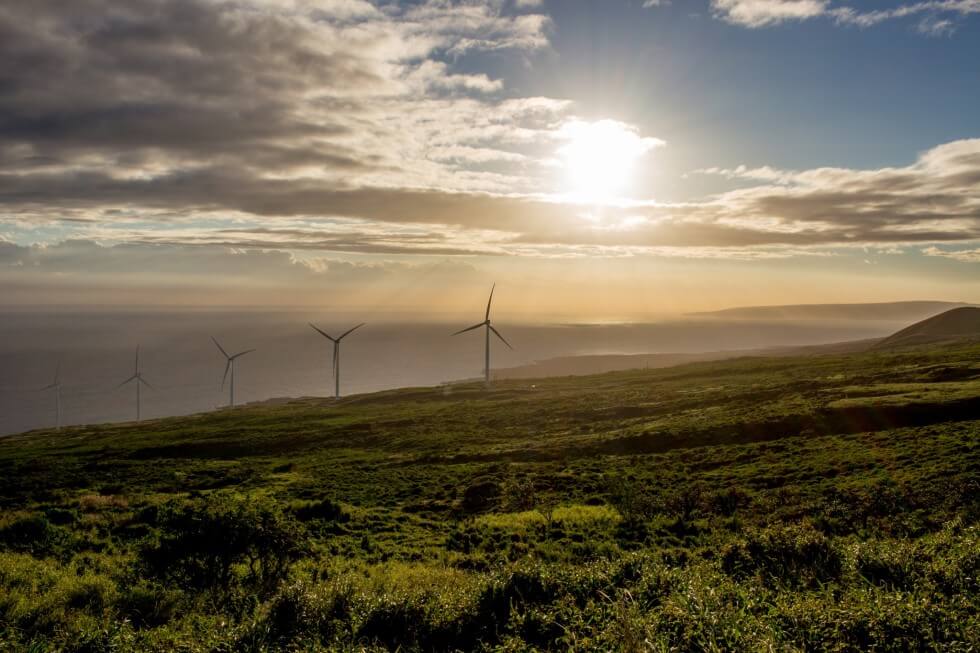 Golden Hour Turbines on the Backside of Maui