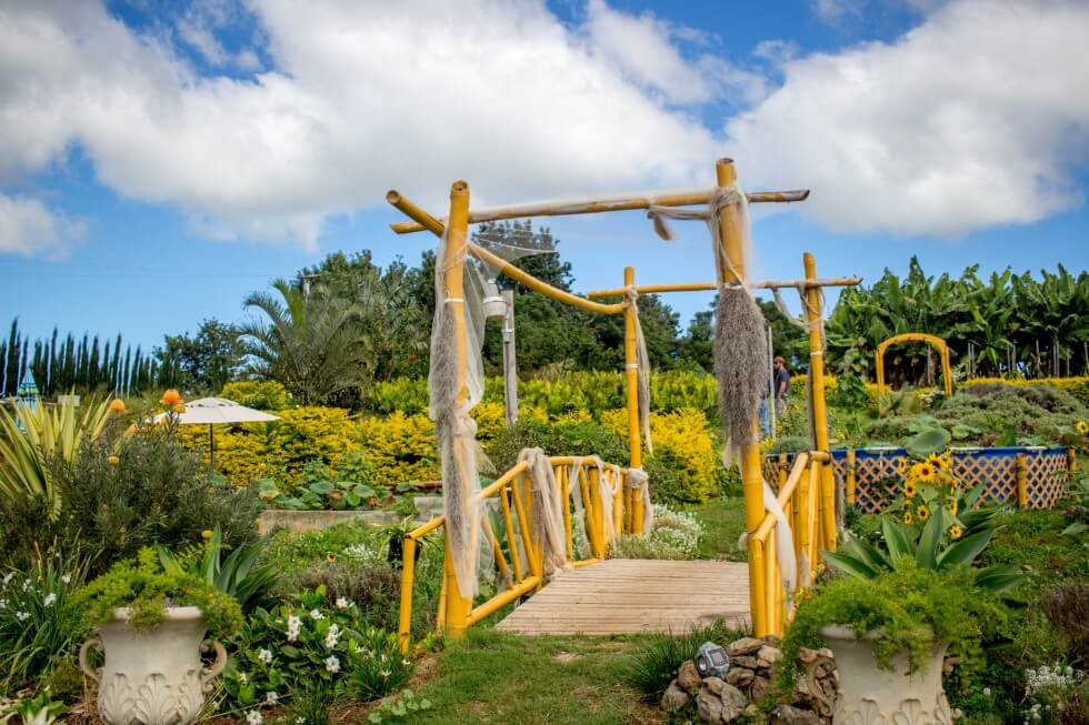 Beautiful Maui Nui Upcountry Thai Farm