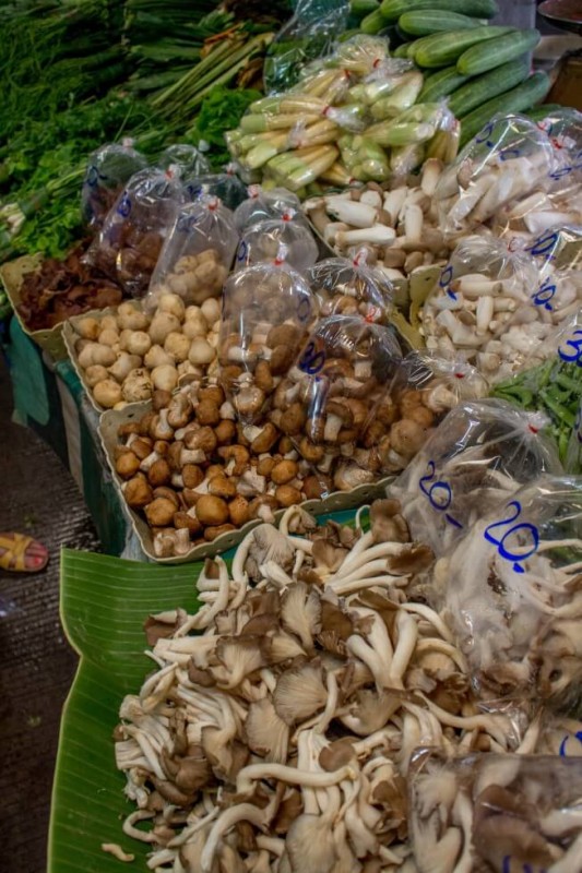 mushrooms at the Chiang Mai cooking school market tour
