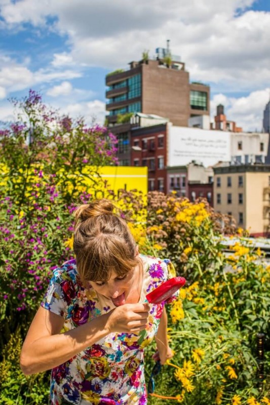 Summer on The Highline