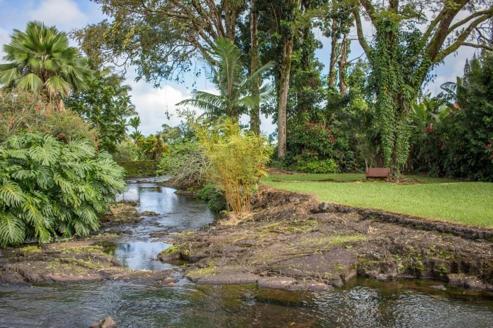 Hilo Hawaii Airbnb Bench by the River