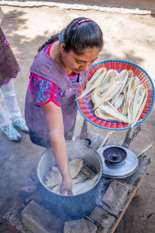 Placing the tamales in the steamer Oaxaca Cooking Classes