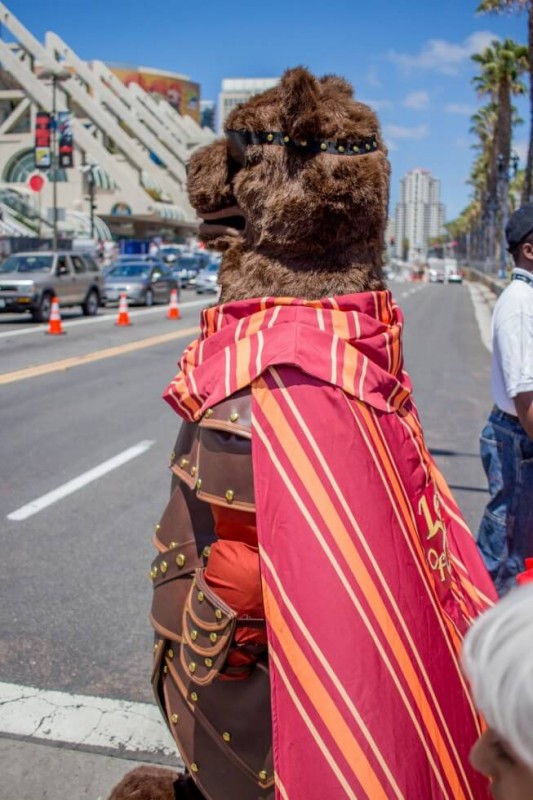 San Diego Comic Con 2015 Pirate Bear