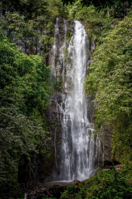 Waterfall along the road to Hana