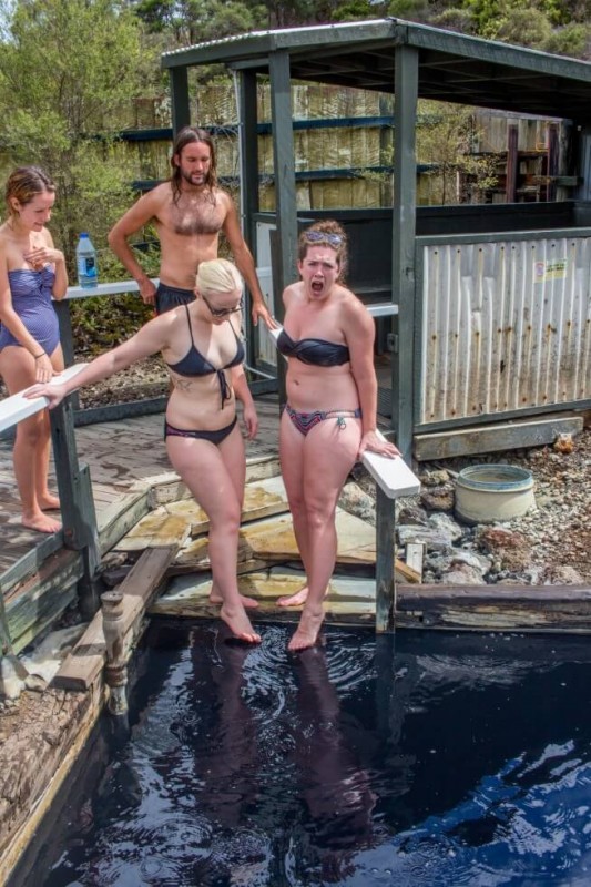 Too Hot Ngawha Hot Pools Haka Tours New Zealand