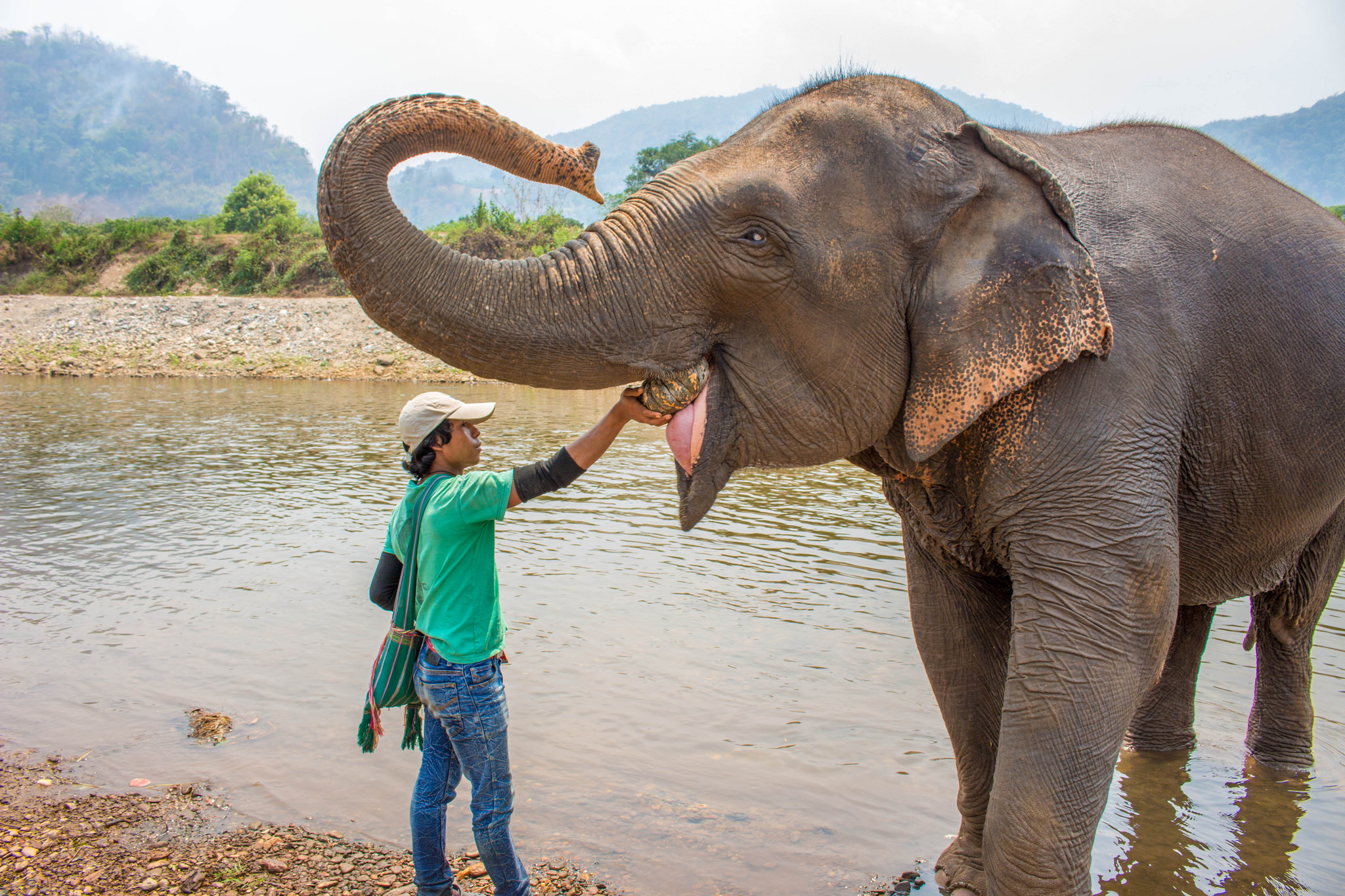 Elephant Nature Park Chiang Mai Thailand elephant-nature-park-chiang-mai-thailand