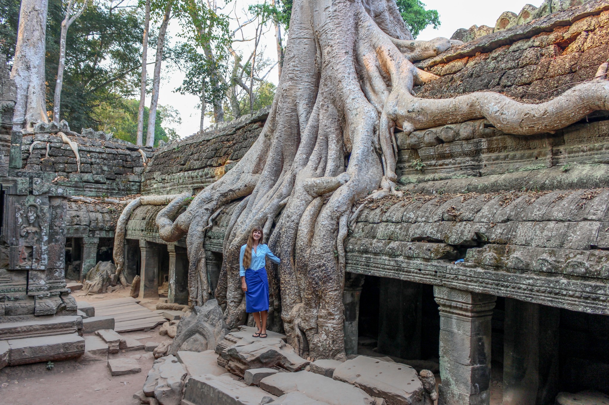 Mystical Overgrown ta Prohm Temple, Angkor, Cambodia